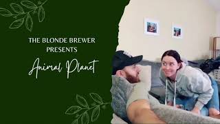 The Blonde Brewer Presents Animal Planet 😂🙈