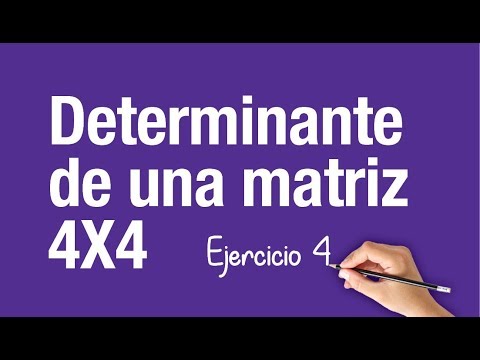 DETERMINANTE DE UNA MATRIZ 4X4 | Ejercicio 4 - YouTube