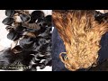 How To: Bleach Your Bundles| Black To Ash Blonde| ft. October Silk Hair Extensions