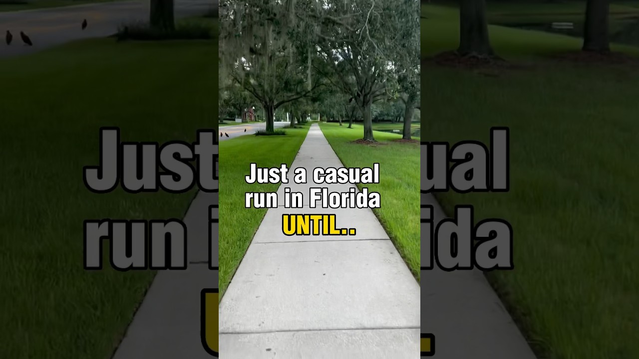 NOPE! Not Today 😂