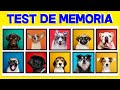 Test de MEMORIA VISUAL | Como MEJORAR tu MEMORIA VISUAL ✅✅ Jogo da MEMORIA visual