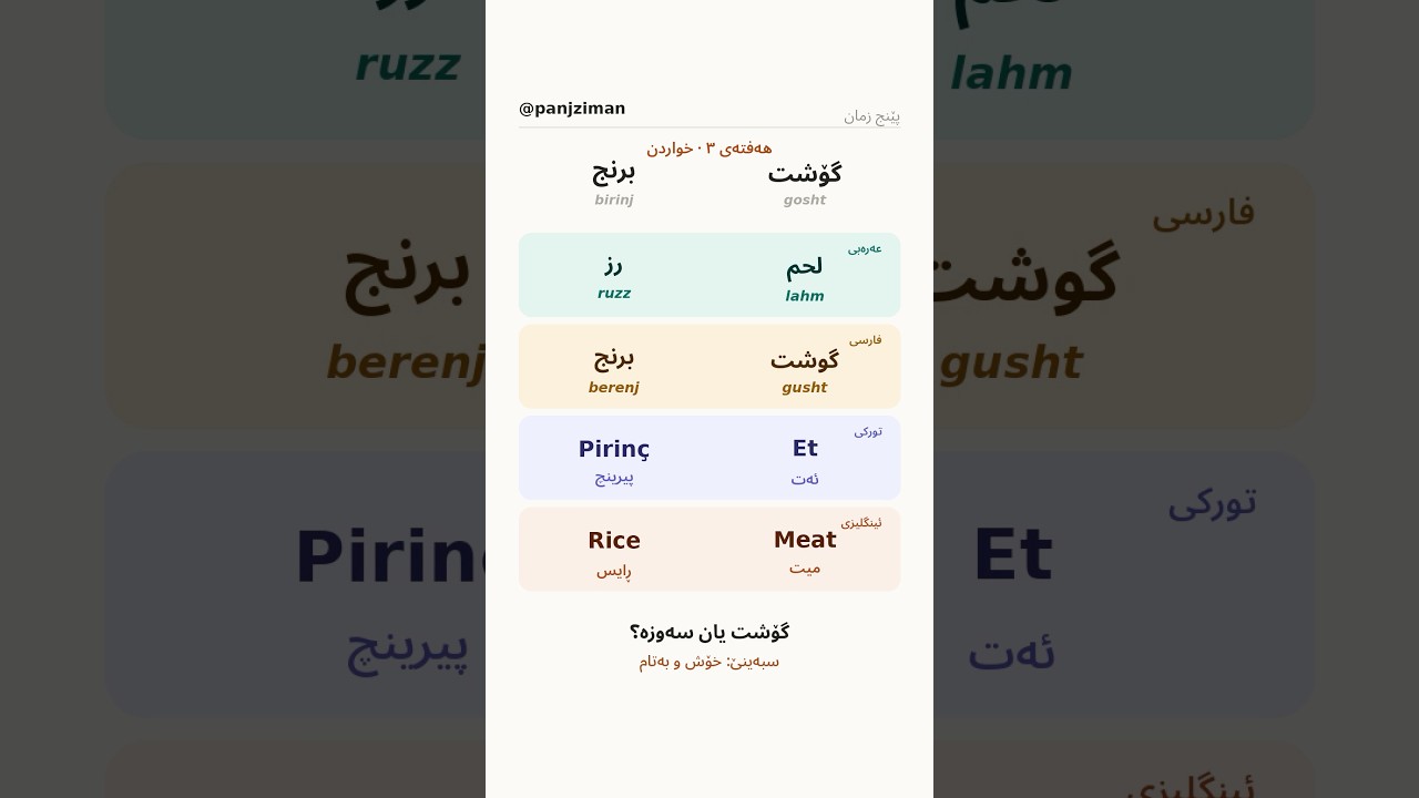 Meat & Rice in 5 Languages | Kurdish Arabic Persian Turkish English