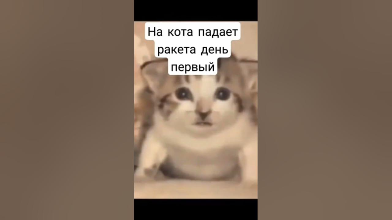 Мем с котом и взрывом