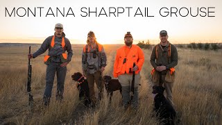 OUR FIRST TIME SERIOUSLY TARGETING SHARPTAIL GROUSE! - MONTANA SHARPTAIL GROUSE HUNTING