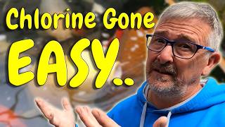 👉 “I Tested Sodium Thiosulphate in My Koi Pond to REMOVE Chlorine… The Results SHOCKED Me!”