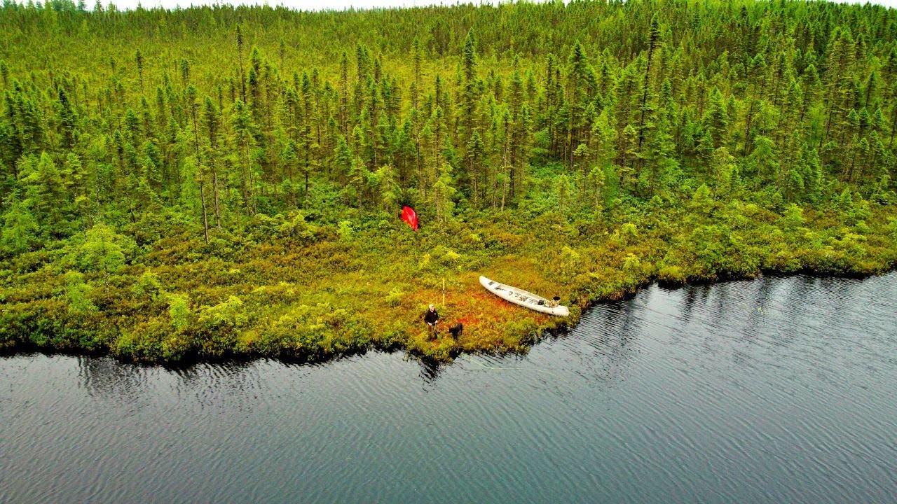 Exploring Remote Places in the Maine Woods with my Dog