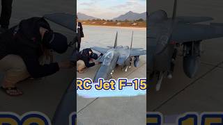 How much is this large scale rc jet f-15? #rc #rcmodel #scalemodel #militarymodel #rcjet #rcgeeks