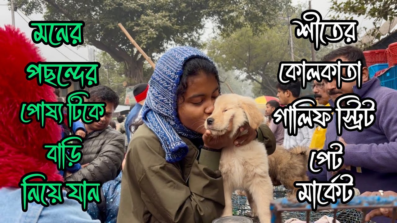 4000 টাকা থেকে কুকুর শুরু 😳🔥| Galiff Street Pet Market | Dog Market in Kolkata 