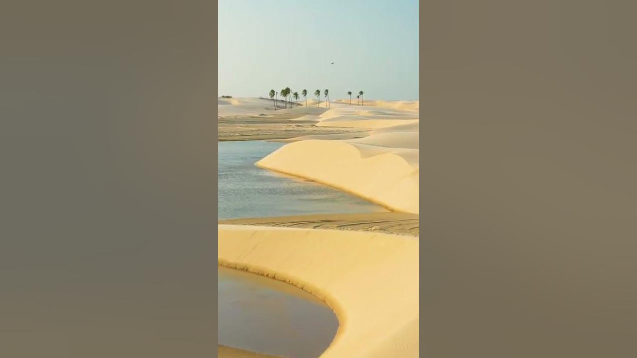 Sahara Desert: Charming Dunes and Lake