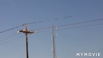 Cranes and a tower with a TWR strobe and LED