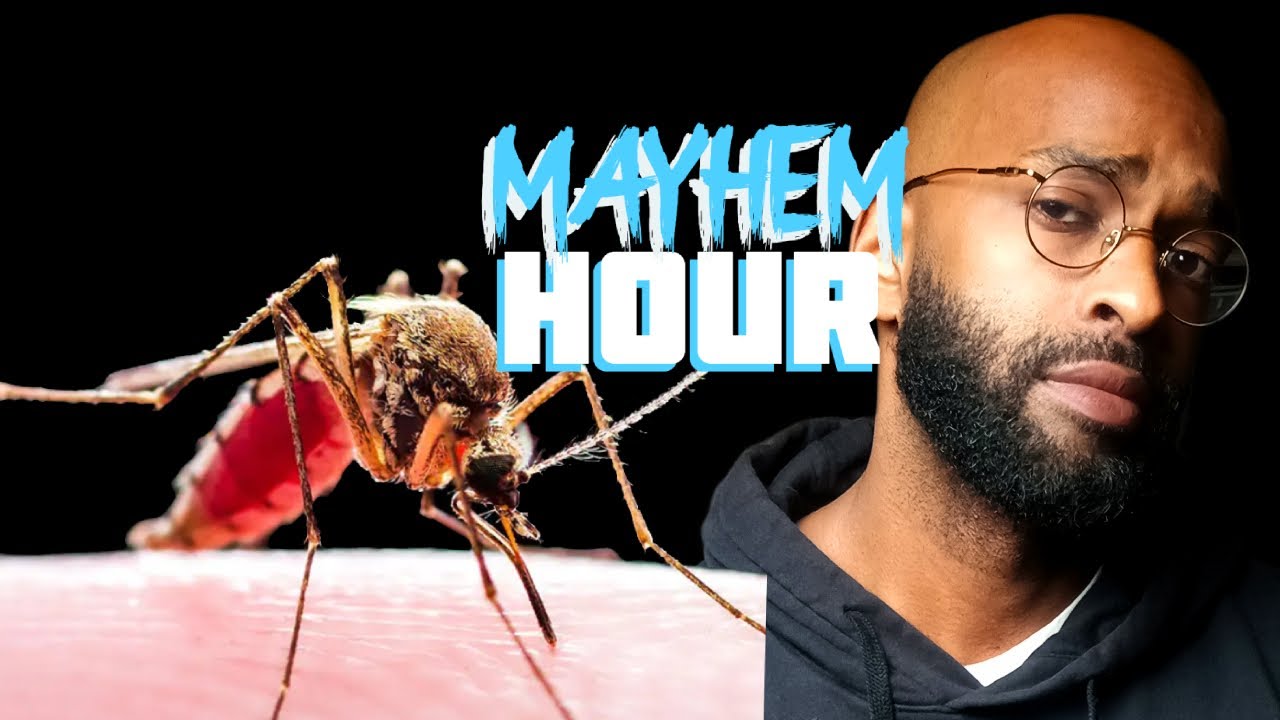 Mayhem Hour CHAPTER 48 Malaria is Back Baby! (Allegedly) YouTube