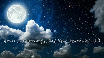 أجمل تلاوة كل من عليها فان حالات واتس أب