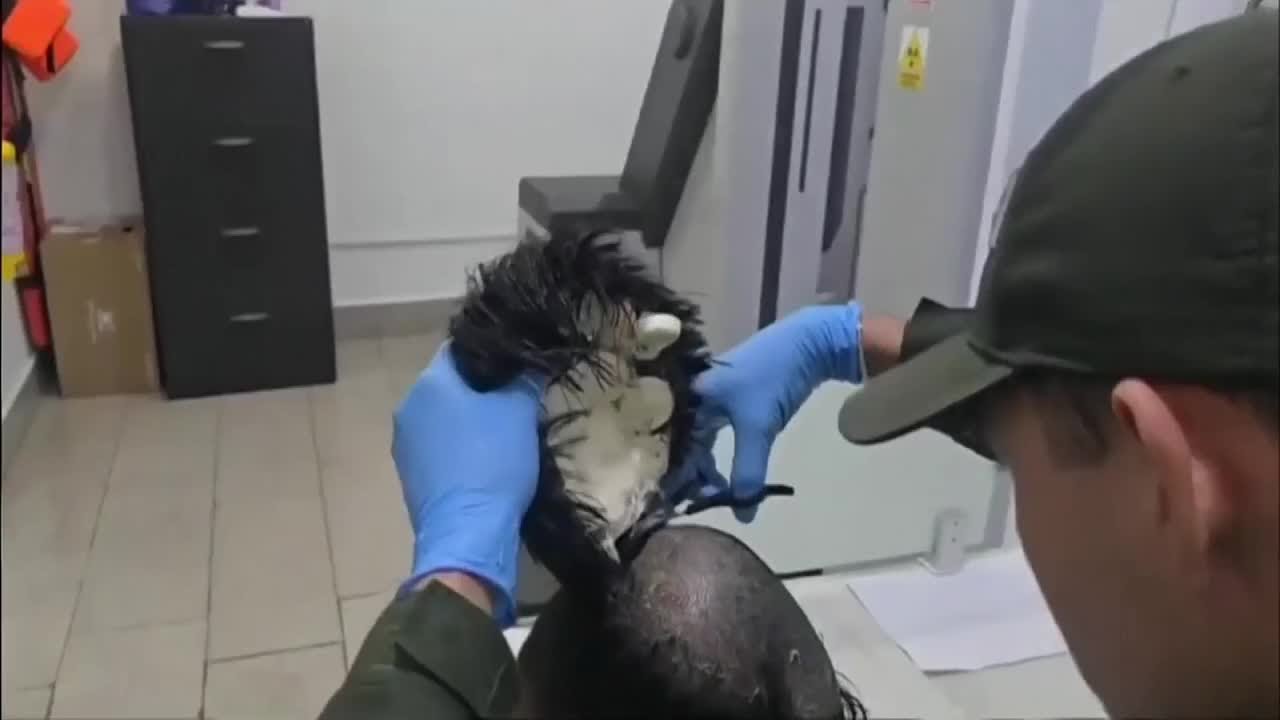 Colombian police catch a man smuggling packets of cocaine under toupee ...