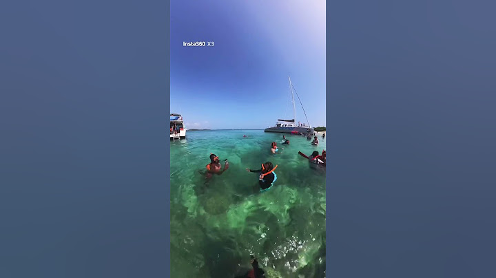 S N O R K E L I N G 🏝️#shorts #youtube #puertorico #viral #travel #vlog #vlogger #fyp #video #viaje