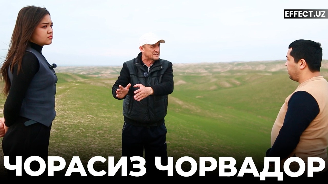 СУРХОНДАРЁДА ЯНА ЯЙЛОВ МОЖАРОСИ: ҚОҒОЗДА БОР АМАЛДА ЙЎҚ – EFFECT UZ