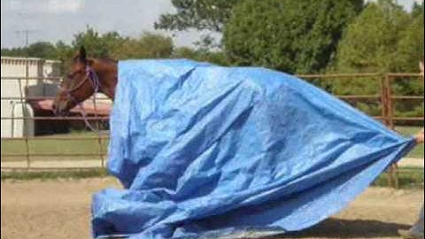 Valley View Ranch     - Sport -     *For up-to-date info, price, etc., go to our website*