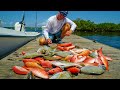 DEEP Water Porgy Snapper Catch Clean Cook Deep Sea Fishing Florida