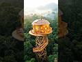 Inside a Luxury Apple-Inspired Jungle Treehouse Tower 🍏🌿