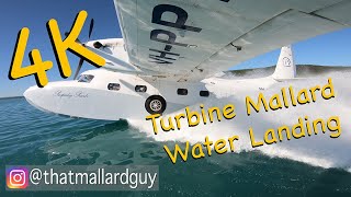 4k Turbine Mallard Water landing and take off