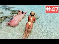 Я ржал до слез 😂 20 Минут смеха 2025 Смешные видео Приколы с животными!Подборка #47