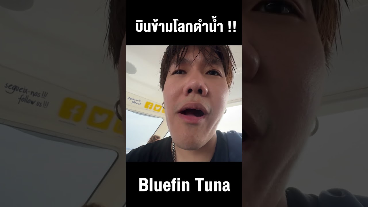 บินข้ามโลกว่ายน้ำกับ Bluefin tuna !!