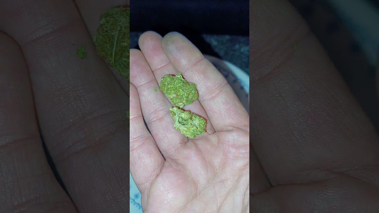 Green Unicorn Farms, Sour Lifter, CBD hemp flower (is it good?)
