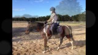 Flatwork with Murphy