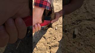 Rocky Foot V She Needs A Break