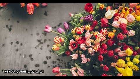 #سورة_الأنفال  بصوت القارئ اسامة صبحي حسين #قرآن #تلاوة #القرآن_الكريم #القرآن #القران_الكريم #تلاوة