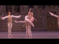 The Nutcracker – Rose Fairy performance (Mayara Magri, The Royal Ballet)