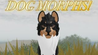 How To Make Dog Morphs in A Lions Pride!