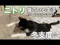 [ニトリ]Nウォームモイストペットベッドで冬支度♪