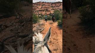 Moab Canyon Rims Endurance Ride - Day 2
