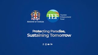 TEF Invests in Our Environment | Protecting Jamaica’s Future Starts Now 🌿