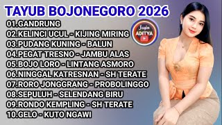 Download Lagu TAYUB BOJONEGORO JAWA TIMUR | Panen Padi Super MP3