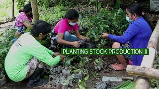 Forest Nursery Management in Leyte Sab-a Peatland Forest