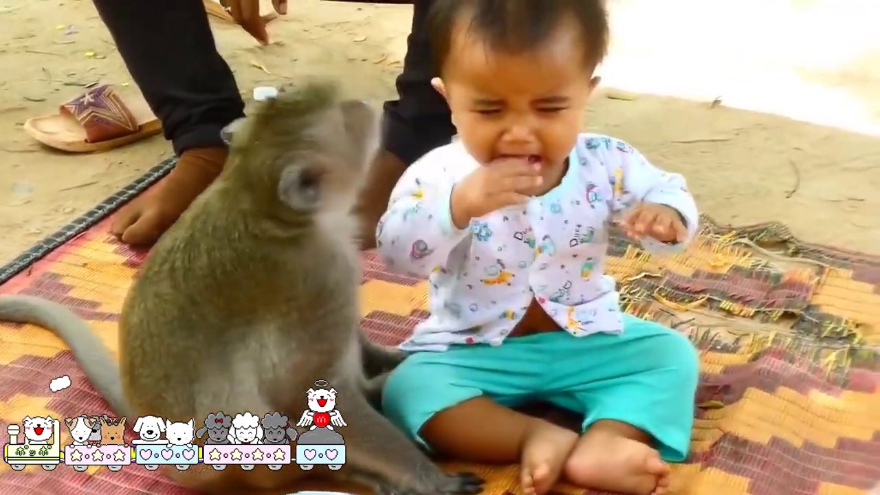 Monkey loves children ลิงรักเด็ก