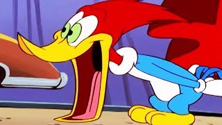 Woody Woodpecker Show | Carney Con | Full Episode | Videos For Kids