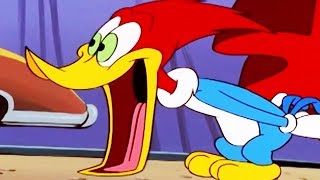 Woody Woodpecker Show | Carney Con | Full Episode | Cartoons For Kids