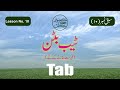 Inpage Lesson No 10 | Urdu Typing | Complete Inpage 3 Course in Urdu