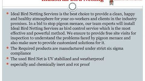 Industrial Bird Netting Service In,Bhosari,Balewadi,Pimpri-Chinchwad,Wakad,Warje,Hinjewadi,Pune