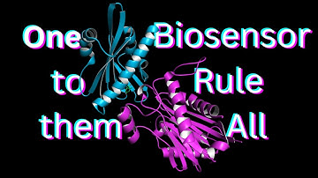 What are PYR1 biosensors?