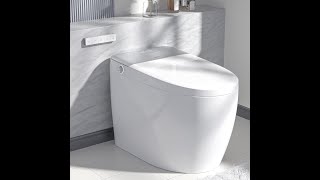 Leivi Smart Toilet With Built-In Bidet Seat, Tankless Toilet With Auto Lid Opening