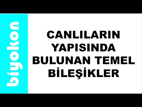 13. Ders : 9. Sınıf Biyoloji / tyt Biyoloji / Canlıların Yapısında Bulunan Temel Bileşikler