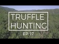 Truffle hunting Croatia