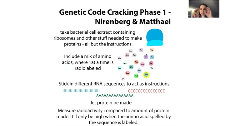 Cracking the genetic code: Nirenberg, Matthaei, Leder, et al.'s experiments (poly-U and more!)