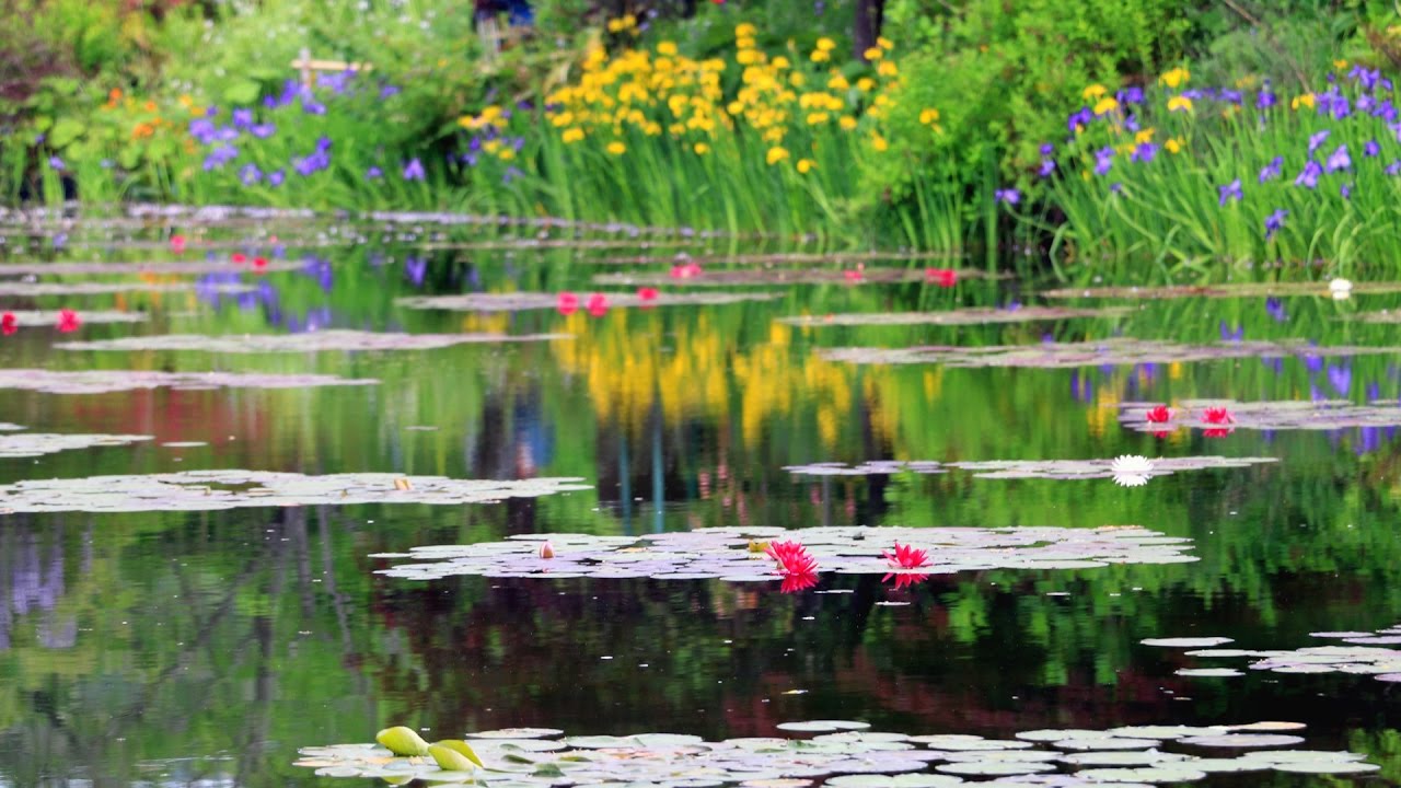 モネの庭 高知県北川村 　2017年5月
