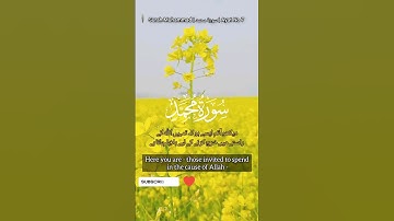 Surah Muhammad| سورة محمد | Ayat No 38|Urdu Translation #quran #peace #islam #viralvideo #islamic