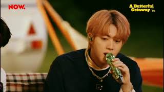 Download Lagu bts \ MP3