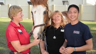CF Equine Studies
